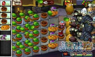 植物大战僵尸爆料最新,神秘新植物曝光,全新冒险即将开启!